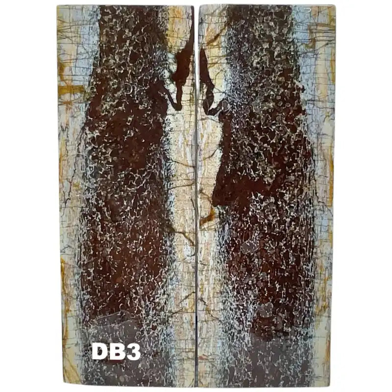 Dino Bone- Natural- Stabilized by Raffir - Maker Material Supply