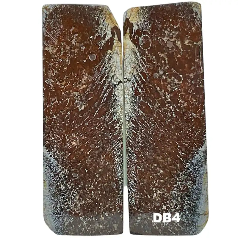 Dino Bone- Natural- Stabilized by Raffir - Maker Material Supply