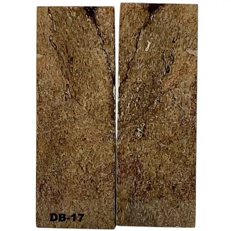 Dino Bone- Natural- Stabilized by Raffir - Maker Material Supply