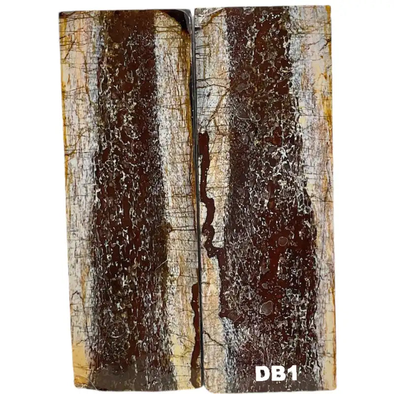 Dino Bone- Natural- Stabilized by Raffir - Maker Material Supply