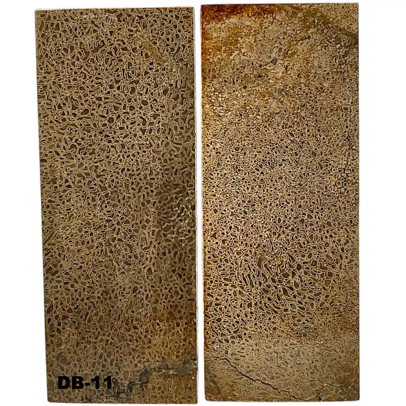 Dino Bone- Natural- Stabilized by Raffir - Maker Material Supply