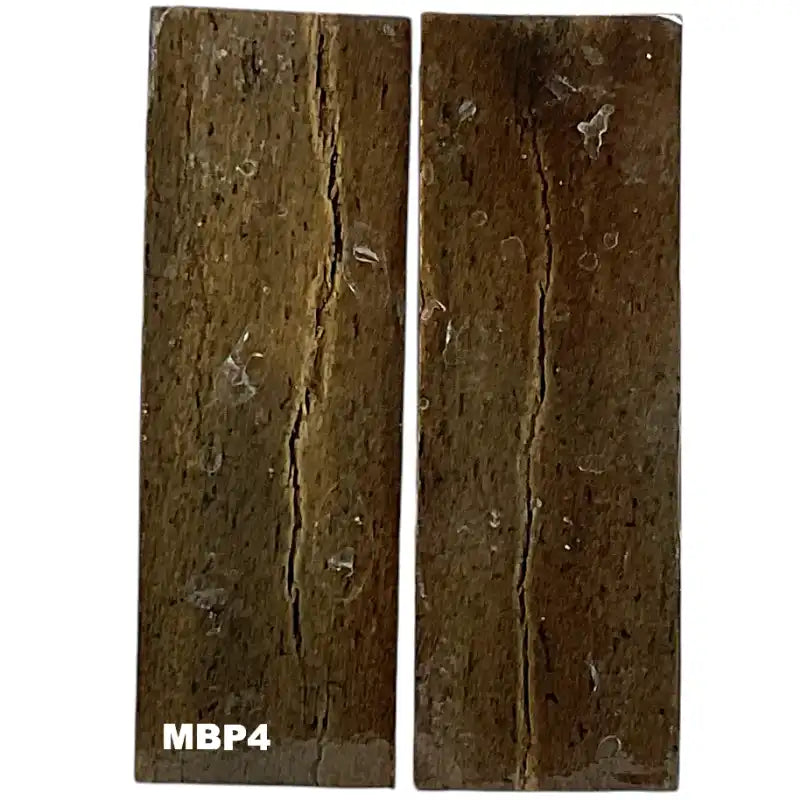 Mammoth Bone Scales- PREMIUM- Stabilized- Raffir Fossils - Maker Material Supply