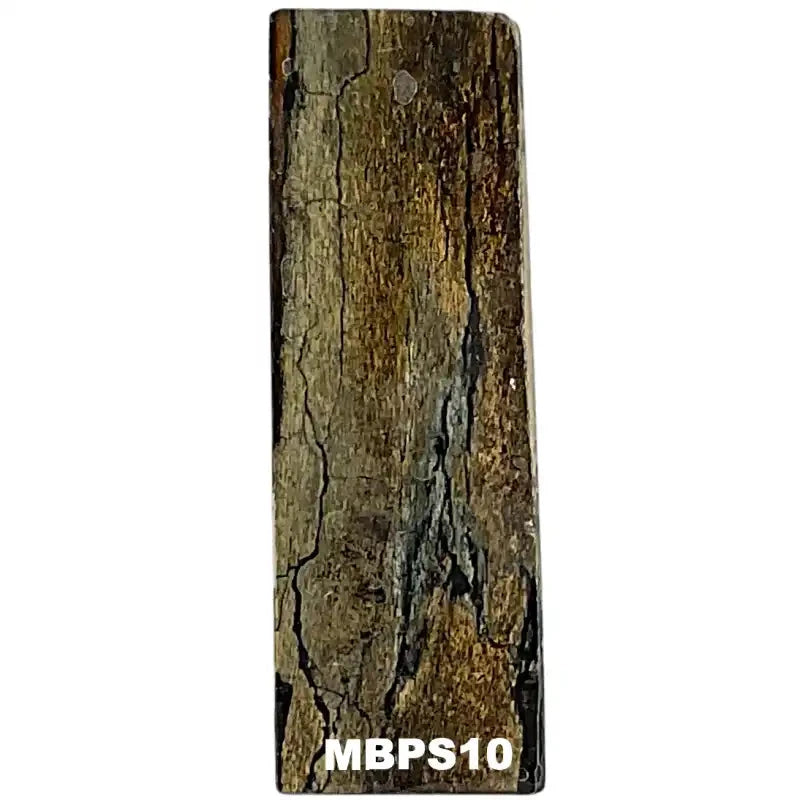 Mammoth Bone Slab- PREMIUM- Stabilized- Raffir® Fossils - Maker Material Supply