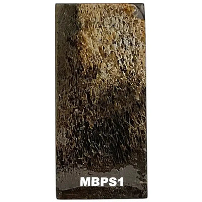 Mammoth Bone Slab- PREMIUM- Stabilized- Raffir® Fossils - Maker Material Supply