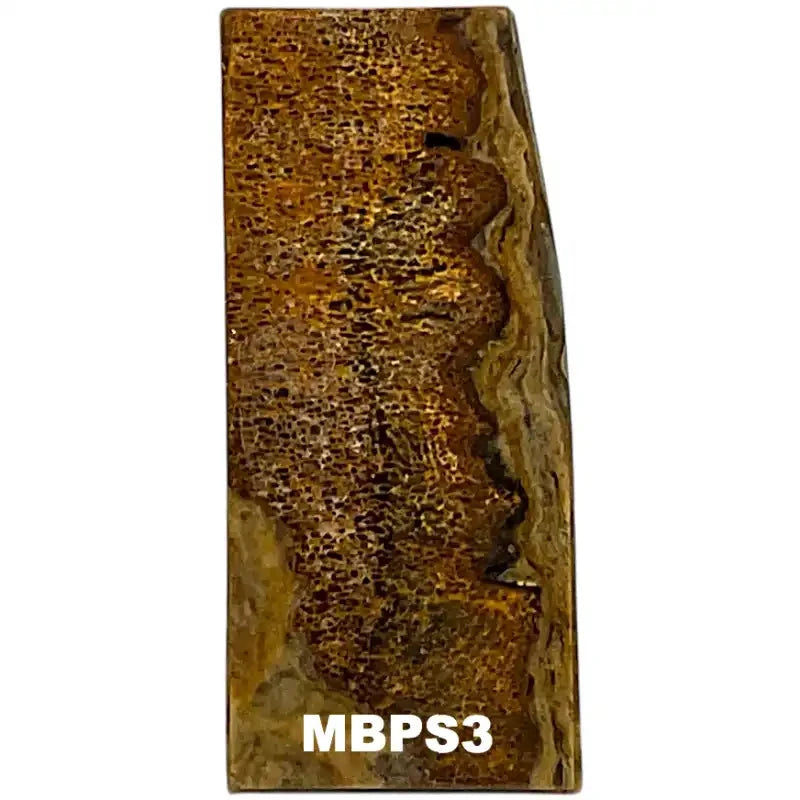 Mammoth Bone Slab- PREMIUM- Stabilized- Raffir® Fossils - Maker Material Supply