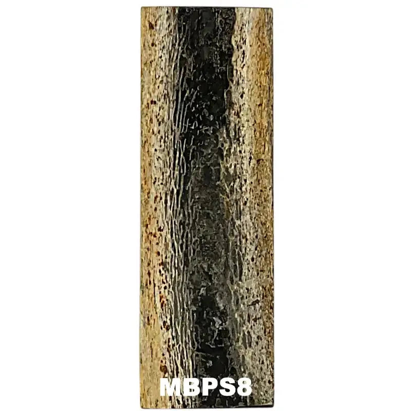 Mammoth Bone Slab- PREMIUM- Stabilized- Raffir® Fossils - Maker Material Supply