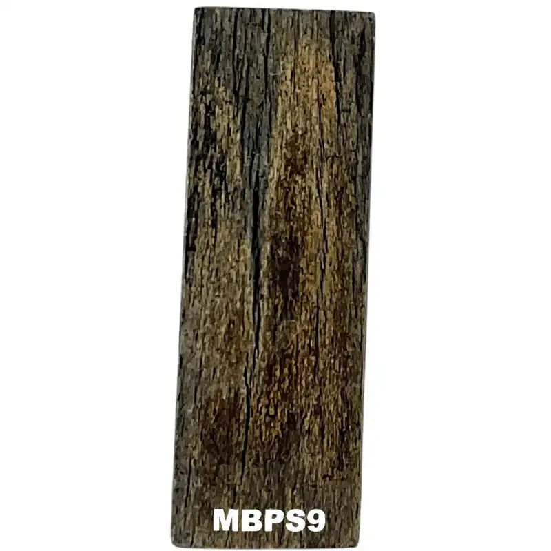 Mammoth Bone Slab- PREMIUM- Stabilized- Raffir® Fossils - Maker Material Supply