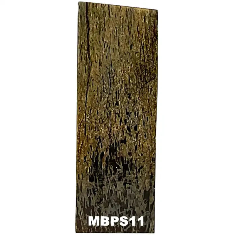 Mammoth Bone Slab- PREMIUM- Stabilized- Raffir® Fossils - Maker Material Supply