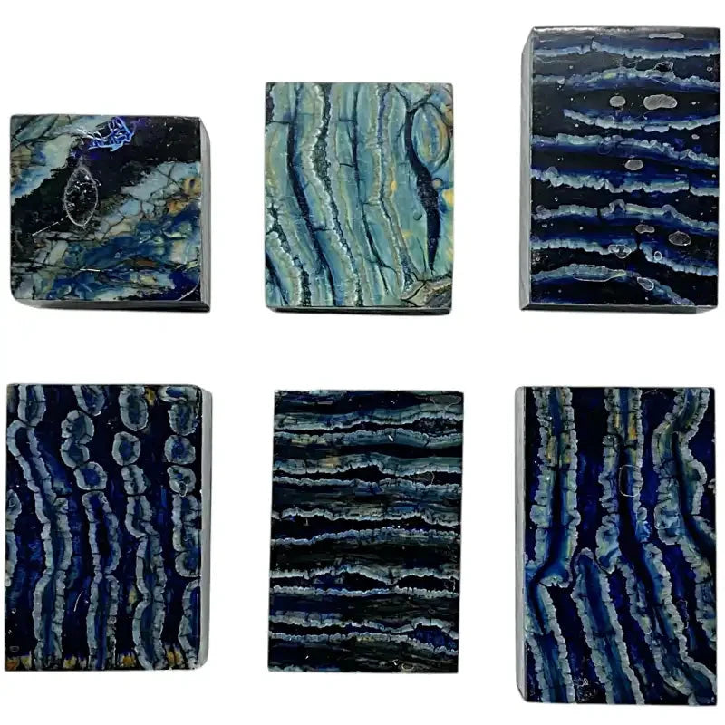 Mammoth Molar Blocks- BLUE- Raffir® Fossils - Maker Material Supply