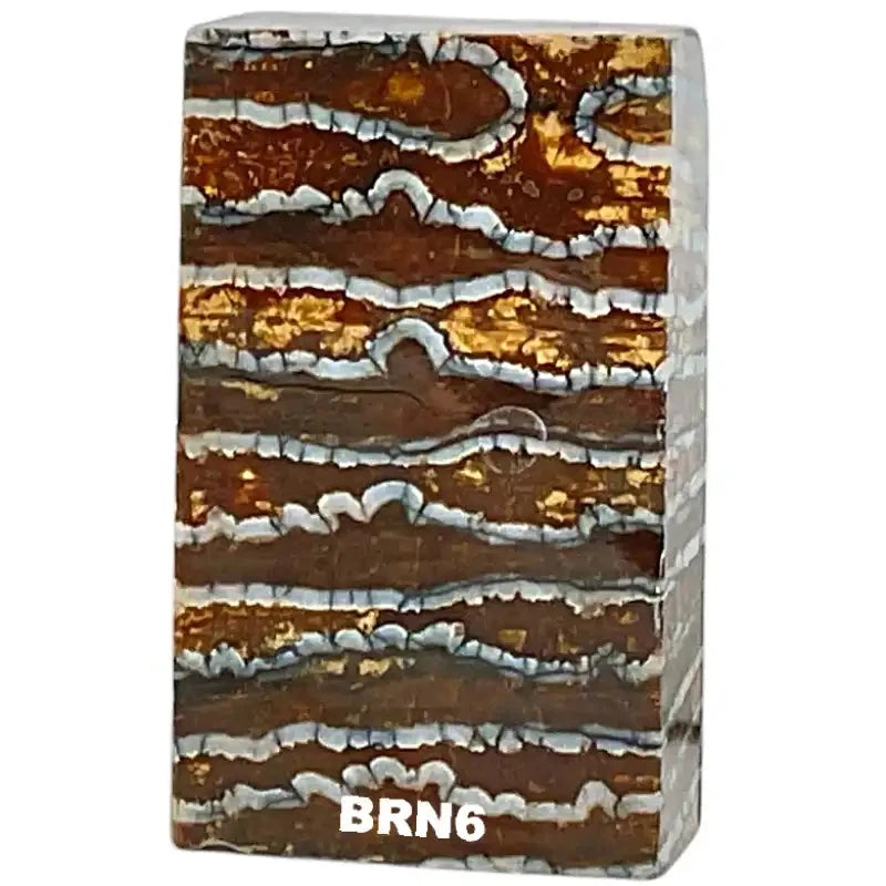 Mammoth Molar Blocks- BROWN- Raffir® Fossils - Maker Material Supply