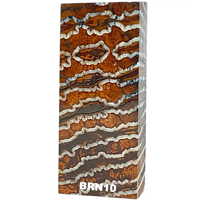 Mammoth Molar Blocks- BROWN- Raffir® Fossils - Maker Material Supply