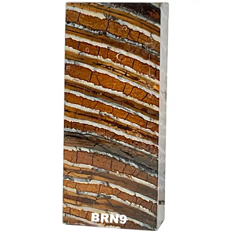 Mammoth Molar Blocks- BROWN- Raffir® Fossils - Maker Material Supply