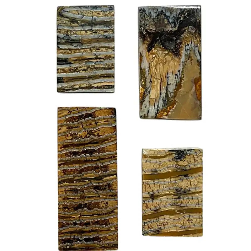 Mammoth Molar Blocks- NATURAL- Raffir® Fossils - Maker Material Supply