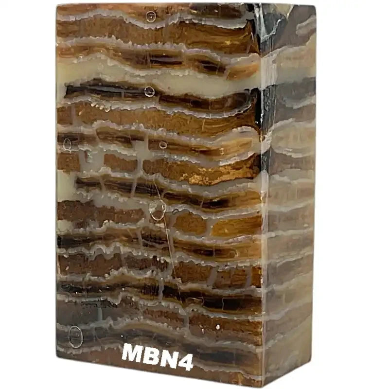 Mammoth Molar Blocks- NATURAL- Raffir® Fossils - Maker Material Supply