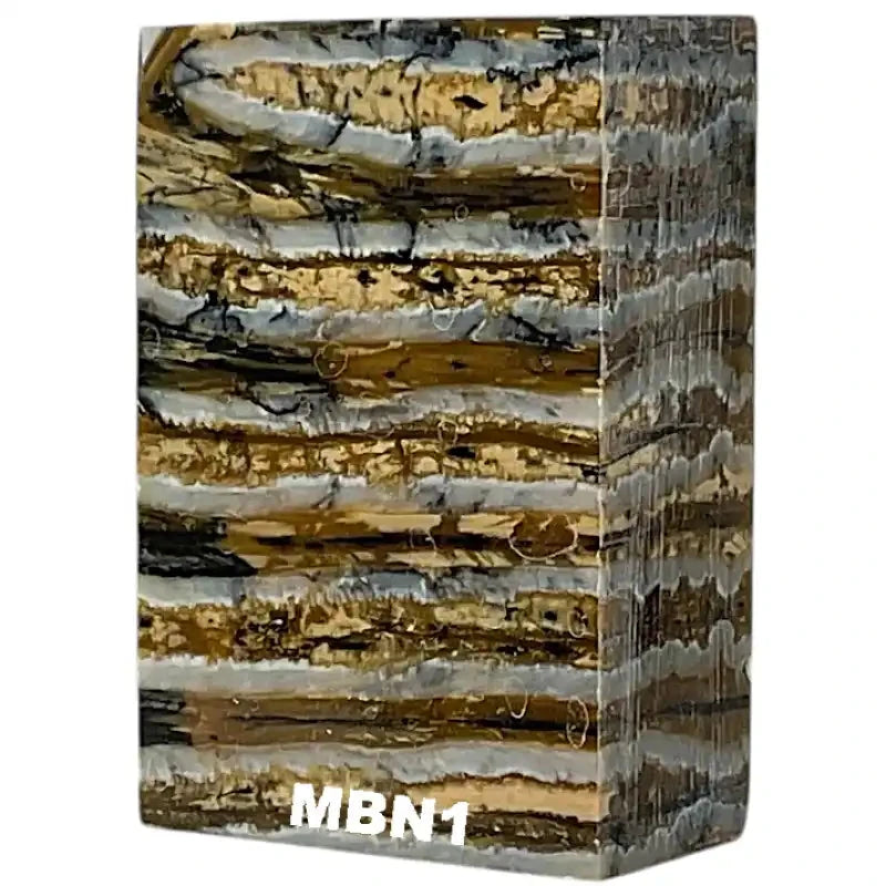 Mammoth Molar Blocks- NATURAL- Raffir® Fossils - Maker Material Supply