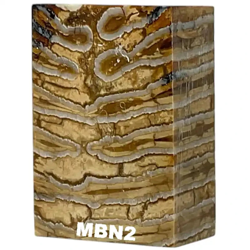 Mammoth Molar Blocks- NATURAL- Raffir® Fossils - Maker Material Supply