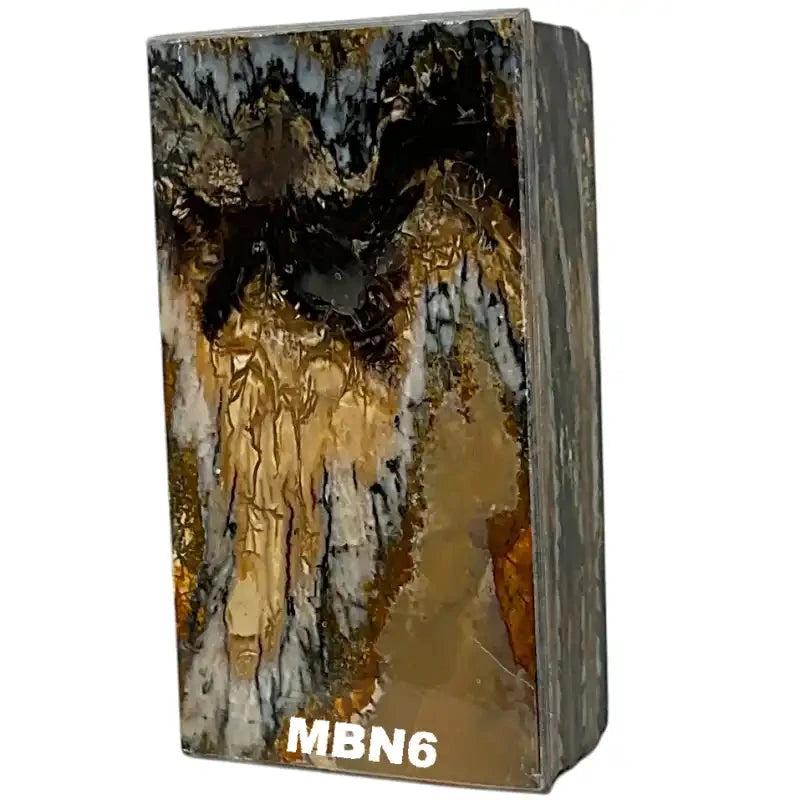 Mammoth Molar Blocks- NATURAL- Raffir® Fossils - Maker Material Supply