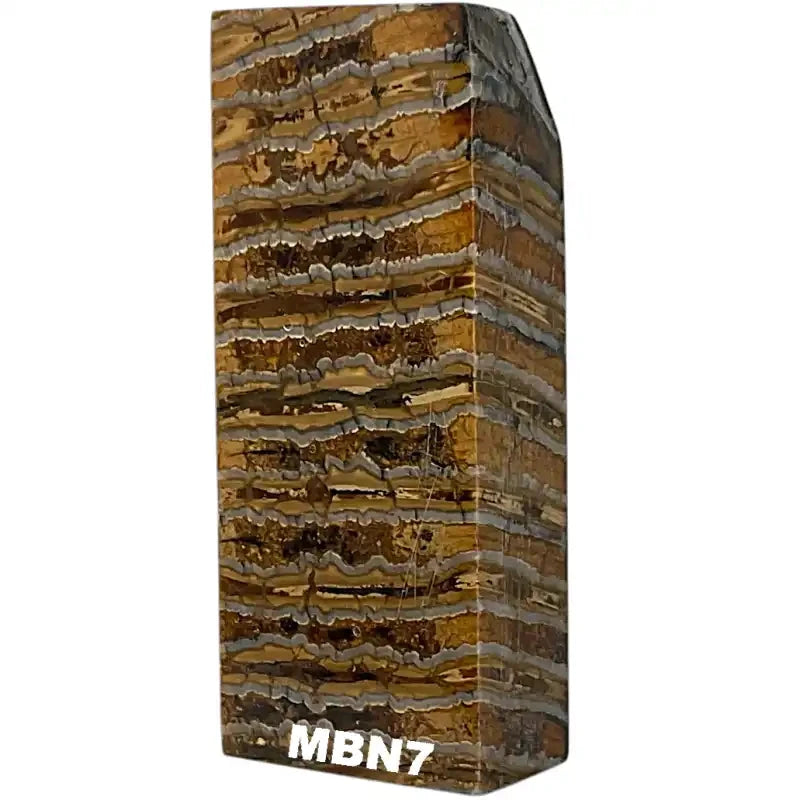 Mammoth Molar Blocks- NATURAL- Raffir® Fossils - Maker Material Supply