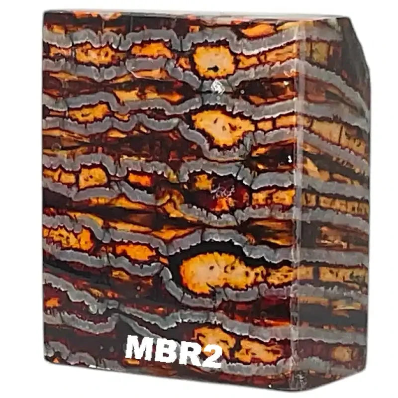 Mammoth Molar Blocks- RED- Raffir® Fossils - Maker Material Supply