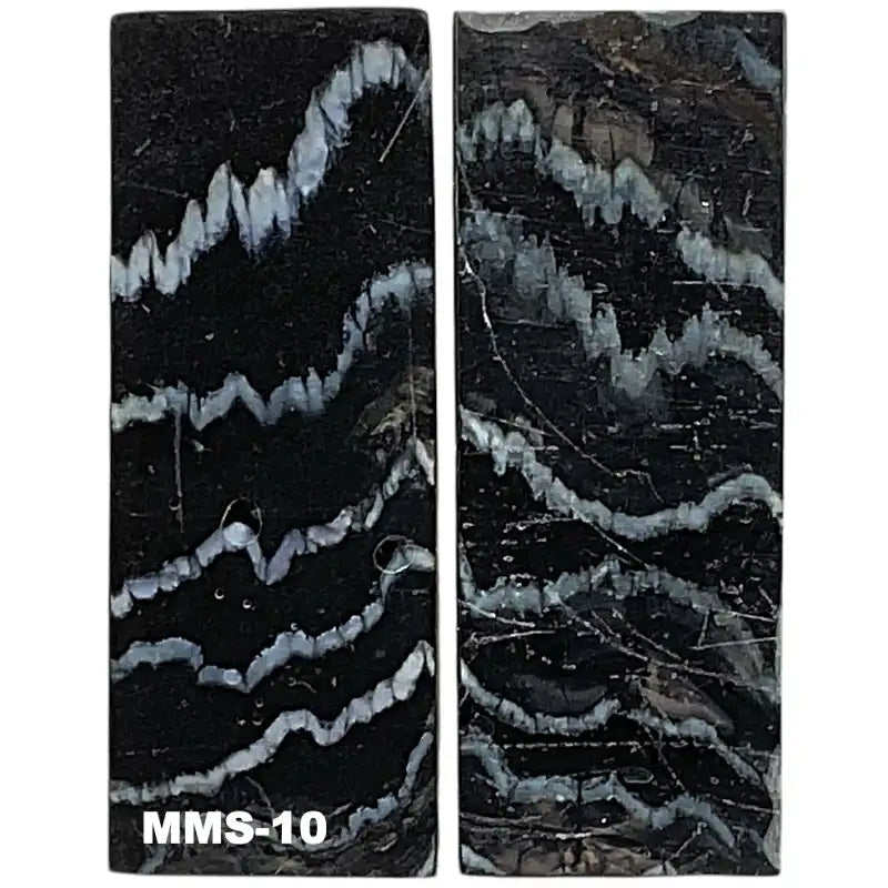 Mammoth Molar Scales- 1.3"(W) x 3.7"(L)- NATURAL- Raffir Fossils - Maker Material Supply