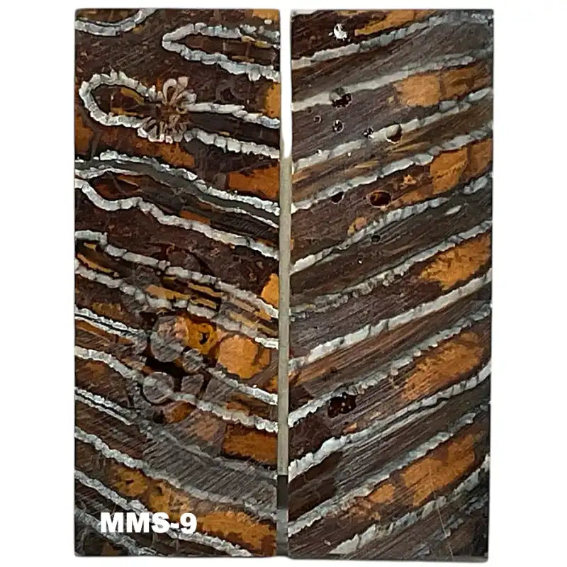 Mammoth Molar Scales- 1.3"(W) x 3.7"(L)- NATURAL- Raffir Fossils - Maker Material Supply