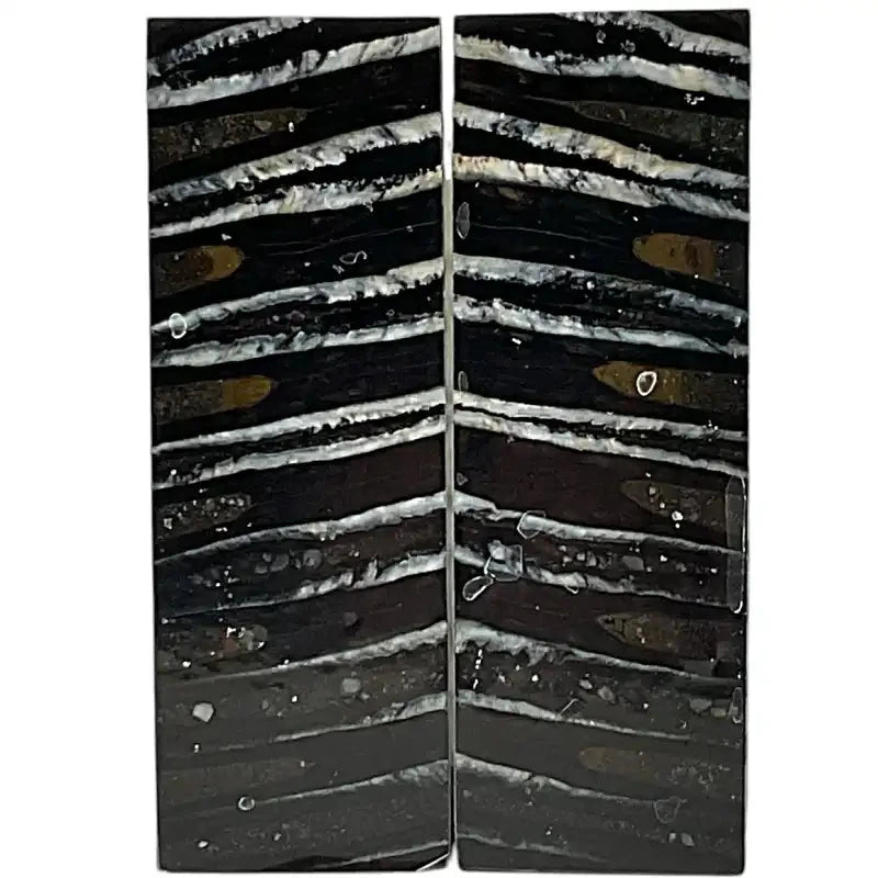 Mammoth Molar Scales- BLACK- .24" x 1.6" x 4.7"- Raffir® Fossils- MS8 - Maker Material Supply