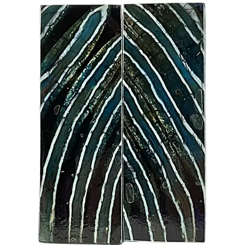 Mammoth Molar Scales- BLUE- .25" x 1.6" x 4.7"- Raffir® Fossils- MS12 - Maker Material Supply