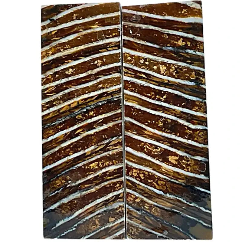 Mammoth Molar Scales- BROWN- .23" x 1.6" x 4.7"- Raffir® Fossils- MS5 - Maker Material Supply