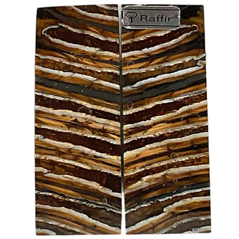 Mammoth Molar Scales- BROWN- Raffir® Fossils - Maker Material Supply