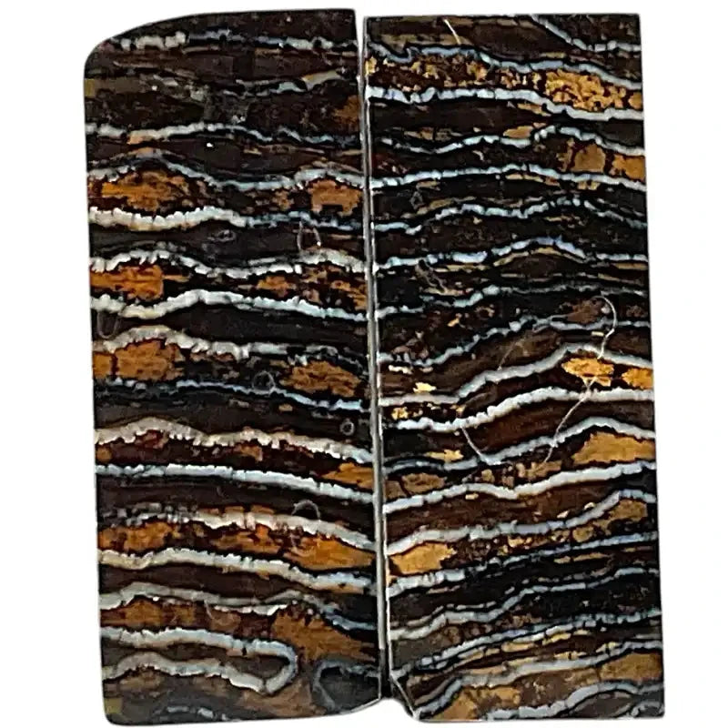 Mammoth Molar Scales- BROWN- 1/8" x 1.4" x 3.6"- Raffir® Fossils - Maker Material Supply