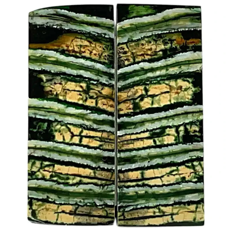 Mammoth Molar Scales- GREEN- Raffir® Fossils - Maker Material Supply