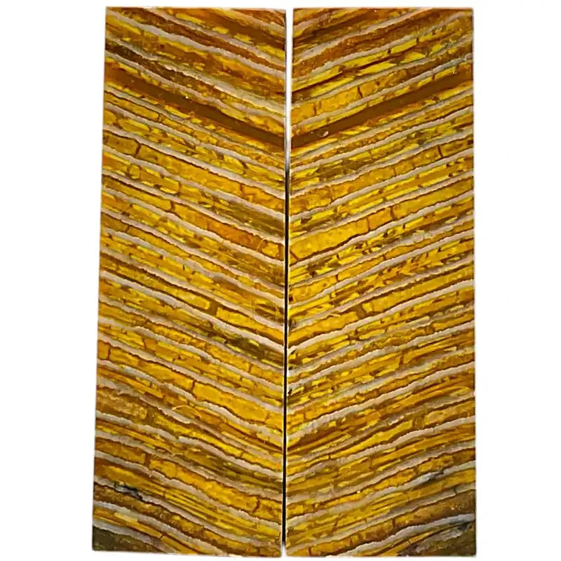 Mammoth Molar Scales- YELLOW- .21" x 1.6" x 4.8"- Raffir® Fossils- MS7 - Maker Material Supply