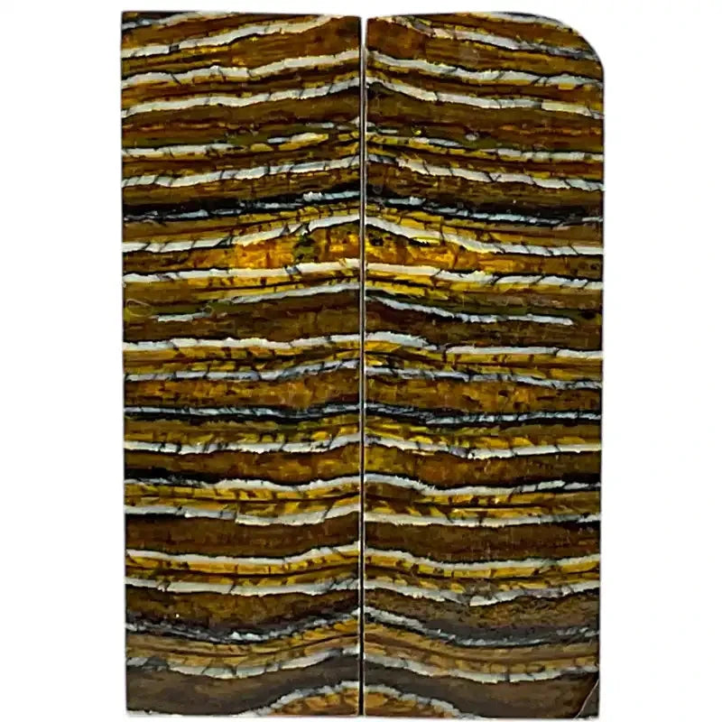 Mammoth Molar Scales- YELLOW- .23" x 1.6" x 4.3-4.8"- Raffir® Fossils- MS6 - Maker Material Supply