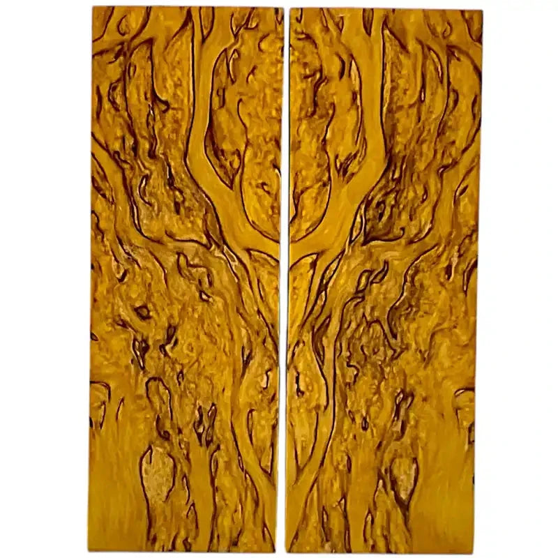 Masur Birch Scales- YELLOW CURLY- Raffir® Wood - Maker Material Supply