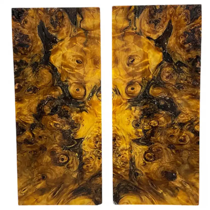 Poplar Burl- YELLOW- Stabilized & Dyed Wood by Raffir - Maker Material Supply